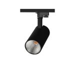 ray spot led